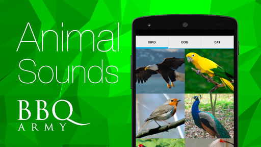 Animal Sounds Bird Dog Cat