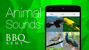 Animal Sounds (Bird,Dog,Cat)