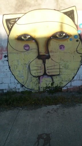 Grafitti Gato Amarillo.
