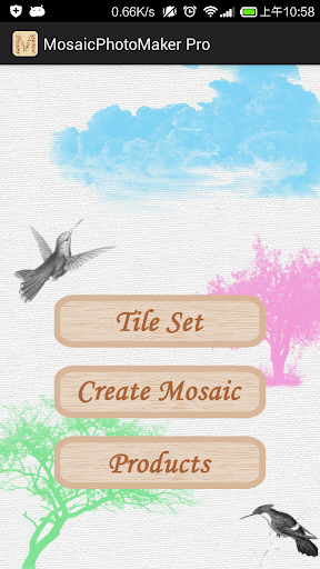 Mosaic Photo Maker Pro