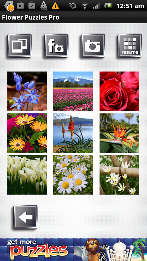 Flower Puzzles Pro Screen 3