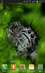 Cute Spiders Wallpapers(圖4)-速報App