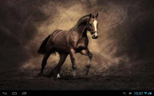 Horses Live Wallpaper Screenshots 6