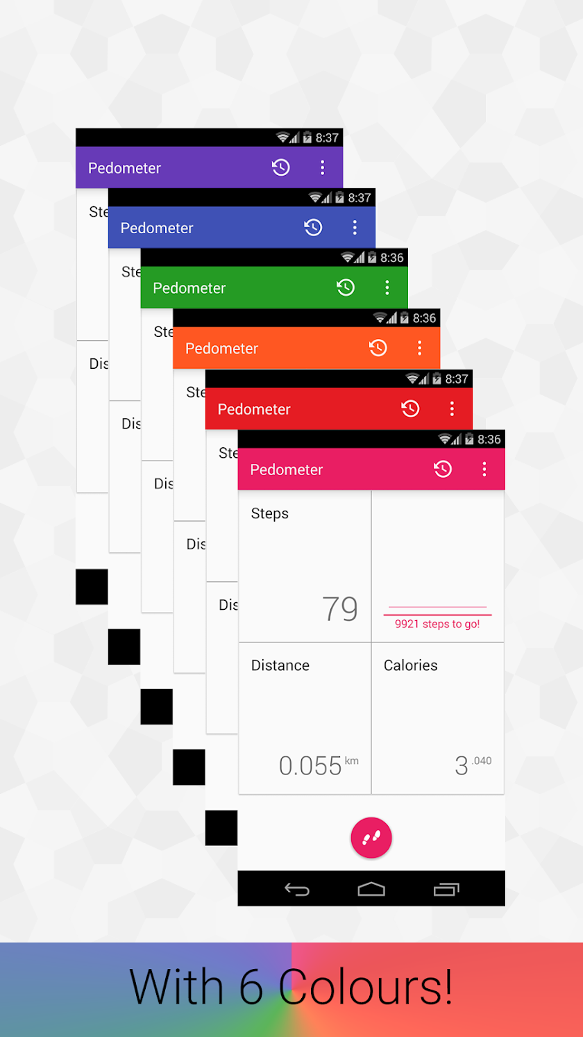 Pedometer Pro Screen 1