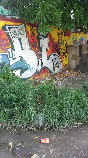 Graffiti Wall at Gate 1