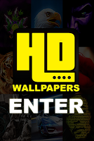 HD Wallpapers APK צילום מסך #9