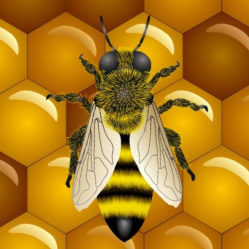 Bee Live Wallpaper LOGO-APP點子