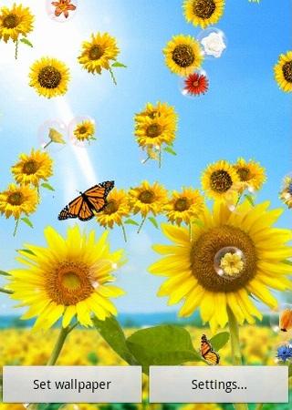Flowers Live Wallpaper - Android Apps on Google Play