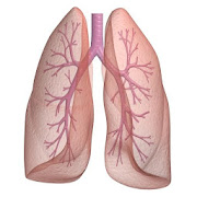 Asthma Tracker & Log MultiUser
