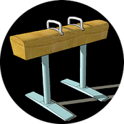 Gymnastics Judge Trainer 2013