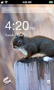 【免費娛樂App】Stubborn Squirrel Lock Screen-APP點子