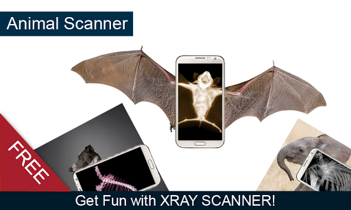 Animal X-ray Scanner Prank