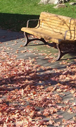 SH3D写真集vol.1 poster 3