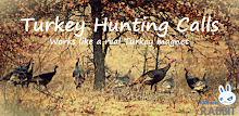 Turkey Hunting Calls by SourceRabbit APK