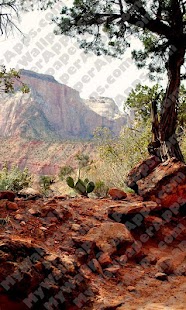 Zion, UT Wallpaper in HD HD Screenshots 4