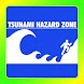 Tsunami Glossary Terms