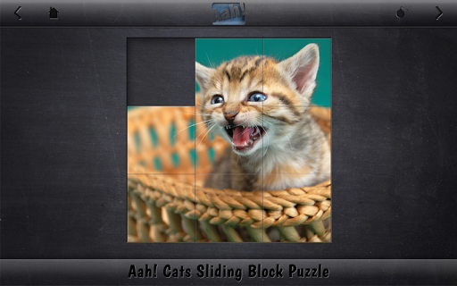 【免費解謎App】Aah! Cats Sliding Block Puzzle-APP點子