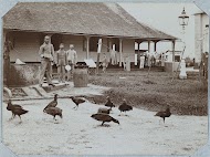 Stinkvogels / de reinigingsdienst