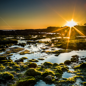 Golden Hour by Jose Moreira - Landscapes Beaches