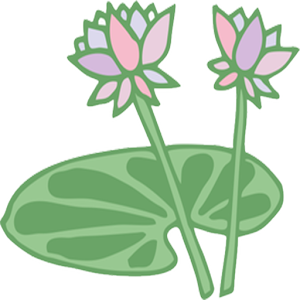 Lotus River