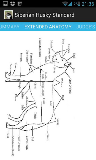【免費教育App】Siberian Husky Reference-APP點子