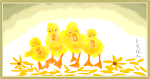 Four yellow ducklings