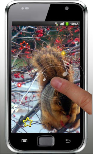 免費下載個人化APP|Squirrel Dance live wallpaper app開箱文|APP開箱王