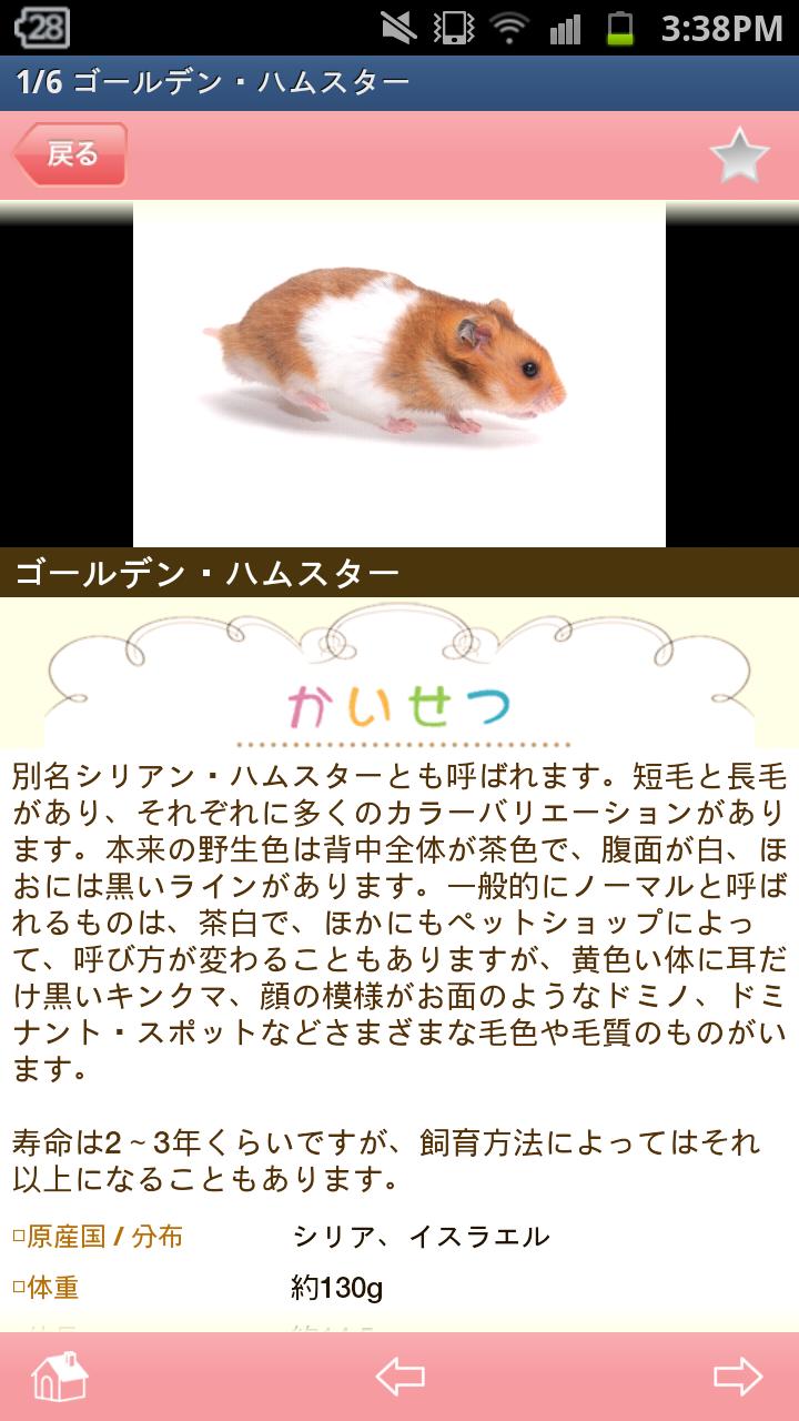 かわいい小動物図鑑 Screen 3
