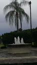 Fountain 1