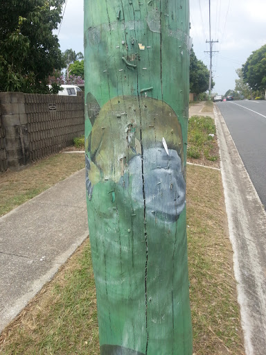 Platypus Mural Pole