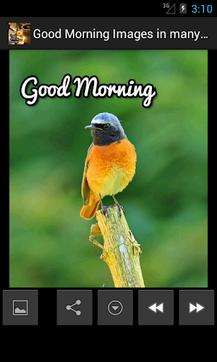 免費下載生活APP|Good Morning Images Multilang. app開箱文|APP開箱王