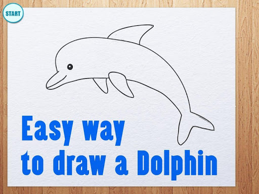 Learn How To Draw Dolphins