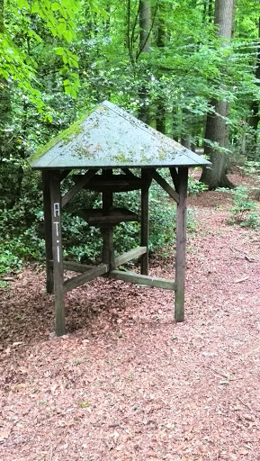 Vogelhaus Im Wald