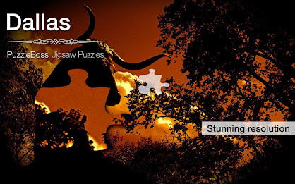 Dallas Jigsaw Puzzles Demo poster 9