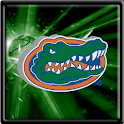 FLORIDA GATORS 3D THEME BBALL