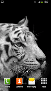 White Tiger Live Wallpaper(圖5)-速報App