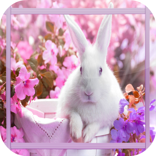 Lovely Rabbit Jigsaw Puzzle 解謎 App LOGO-APP開箱王