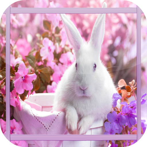 Lovely Rabbit Jigsaw Puzzle LOGO-APP點子