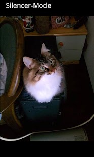 Download Call Volume Up No ads APK for PC