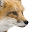 EYEFOX .com Download on Windows