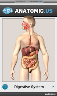 消化系统解剖游戏