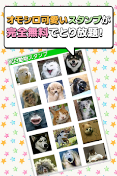 ラインスタンプで送ろう 面白可愛い 動物スタンプ Androidアプリ Applion