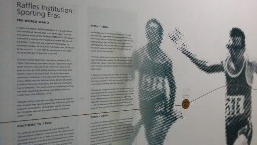 Sports History Display
