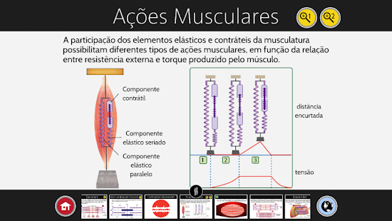Contração Muscular - screenshot thumbnail
