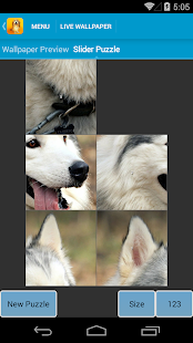 Cute Dogs Live Wallpapers(圖4)-速報App