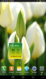 Countdown to World Cup 2014 poster 18