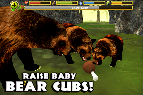 Wildlife Simulator: Bear(圖3)-速報App