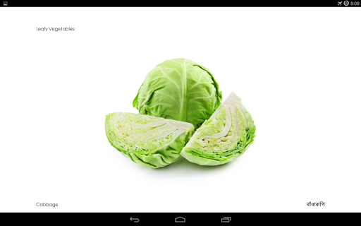 【免費書籍App】Vegetable Flashcards (বাংলা)-APP點子