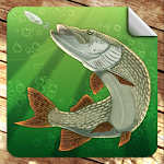 Cover Image of Download Мобильная русская рыбалка 1.0.8.0-839 APK