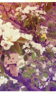 Lastest Danbo Wind Of Gold Live Wallpa APK